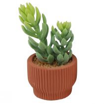 Article Plantes Artificielles Cactus Succulent Plante Verte Artificielle 14.5/15.5cm 2pcs