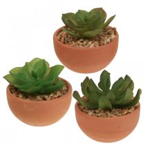 Plantes artificielles en pots succulentes artificielles H9cm 3pcs