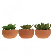 Article Plantes artificielles en pots succulentes artificielles H9cm 3pcs
