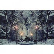 Article Image LED parc de paysage d&#39;hiver avec des lanternes murale LED 58x38cm