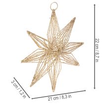 Article Étoile décorative en fil métallique doré avec 20 LED lumière chaude, 22 cm, intérieur