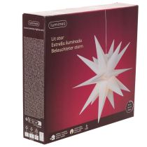 Article Étoile LED Décorative Blanche 40 cm avec Timer, Usage Extérieur Protégé