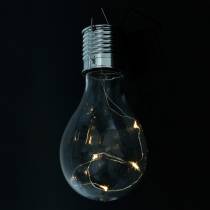 Article Ampoules solaires LED blanc chaud pour décoration de jardin, H15cm, lot de 5