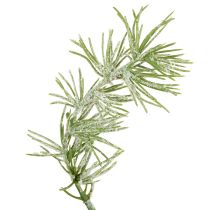 Article Guirlande décorative en mélèze pour une ambiance chaleureuse, 250 cm
