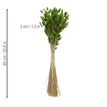Article Lagurus séché (Queue de lièvre) 65-70 cm 75 g