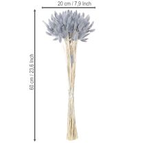 Article Lagurus séché (queue de lièvre) gris pour bouquets de fleurs séchées 60 cm 75 g
