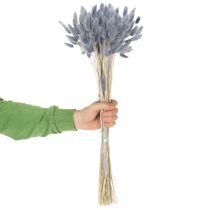 Article Lagurus séché (queue de lièvre) gris pour bouquets de fleurs séchées 60 cm 75 g