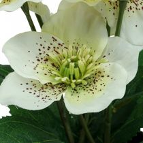 Rose de Carême Hellébore Rose de Noël pot fleurs artificielles H25cm blanc