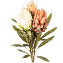 Article Kunstblume Protea Leucadendron 65 cm en lot de 3