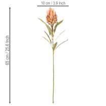 Article Kunstblume Protea Leucadendron 65 cm en lot de 3