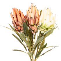 Article Kunstblume Protea Leucadendron 65 cm en lot de 3