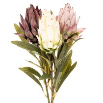 Article Fleurs artificielles Protea Leucadendron 65 cm 3 pièces Crème Bordeaux Rose