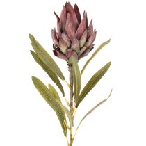 Article Fleurs artificielles Protea Leucadendron 65 cm 3 pièces Crème Bordeaux Rose