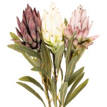 Article Fleurs artificielles Protea Leucadendron 65 cm 3 pièces Crème Bordeaux Rose