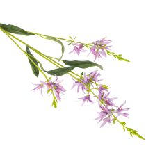 Article Triteleia, fleur artificielle pour une décoration florale élégante dans les espaces de vie, 110 cm, lot de 2.