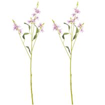 Article Triteleia, fleur artificielle pour une décoration florale élégante dans les espaces de vie, 110 cm, lot de 2.