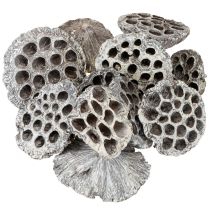 Article Lotos Flacon décoratif en forme de lotus naturel blanchi 6-8 cm 50 pièces