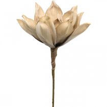 Fleur de lotus, décoration fleur de lotus, plante artificielle beige L66cm