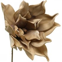 Fleur de lotus, décoration fleur de lotus, plante artificielle beige L66cm