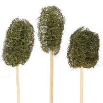 Article Luffa petit sur un bâton éponge concombre vert foncé 5-7 cm 25 pcs