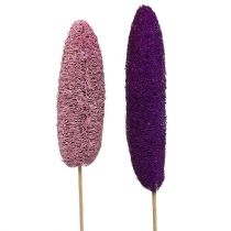 Loofah sur bâton grand rose, bruyère 8cm - 30cm 25p