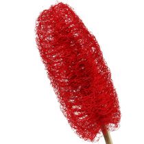 Article Luffa grand sur bâton rouge 25 pcs