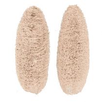 Article Luffa blanchi grand format 20 pièces