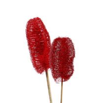 Article Luffa petit sur bâton rouge 25 pcs