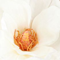 Article Magnolia Blanc Boutons De Fleurs Artificielles Décoration Branche H40cm 2pcs