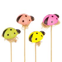 Article Bouchons de fleurs décoratifs coccinelle couleur bois 3,5cm 24 pcs