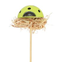 Article Bouchons de fleurs décoratifs coccinelle couleur bois 3,5cm 24 pcs