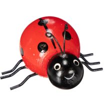 Article Coccinelles en bois porte-bonheur, 5 cm, lot de 6, pour décorer votre intérieur.