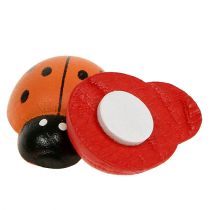 Article Coccinelles colorées 2,5 cm 60 pièces