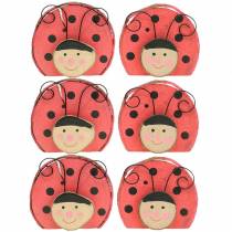 Coccinelle bois rouge Ø7cm 6pcs