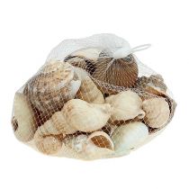 Mélange de coquillage déco maritime nature 400g