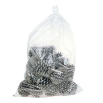 Article Pommes de pin maritime Cônes 10-14cm Blanchies 25pcs