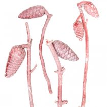 Cône maritime sur branche ciré rose/blanc 400g