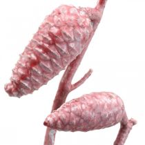 Cône maritime sur branche ciré rose/blanc 400g