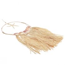 Article Décoration murale maritime avec véritable étoile de mer Ø26,5cm H65cm