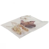 Article Suspension décorative maritime coquillage étoile de mer Ø10–12cm 40cm