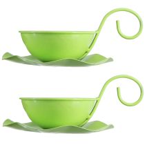 Article Tasse décorative en métal avec soucoupe vert clair H8cm Ø11,5cm 2pcs