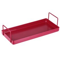 Article Plateau au design élégant qui transforme n'importe quelle table en un objet tendance et attrayant (25 cm).