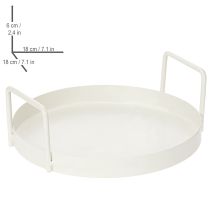 Article Plateau de plantation polyvalent pour la maison et le jardin, 18 cm