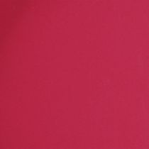 Article Plateau polyvalent, rangement pratique pour la salle à manger et la terrasse, 22 cm