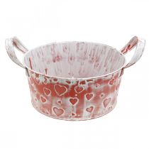 Bol à plantes, Saint Valentin, récipient en métal avec décoration coeur, cache-pot Ø23cm