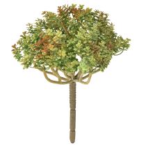 Article Mini plante succulente artificielle verte artificielle avec tige H23cm