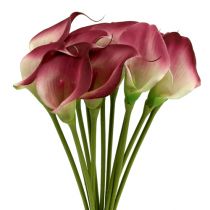 Article Mini calla artificielle 28cm Erika, crème 12 pcs
