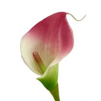 Article Mini calla artificielle 28cm Erika, crème 12 pcs