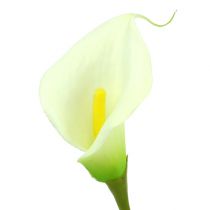 Article Mini Calla blanc artificiel L 28cm 12pcs