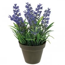 Article Mini lavande en pot plante artificielle lavande décoration H16cm
